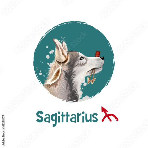 Digital art illustration of astrological sign Sagittarius. 2018 year of dog. Ninth of twelve zodiac signs. Horoscope fire element. Arrows logo sign. Graphic design clip art for web, print. Add text