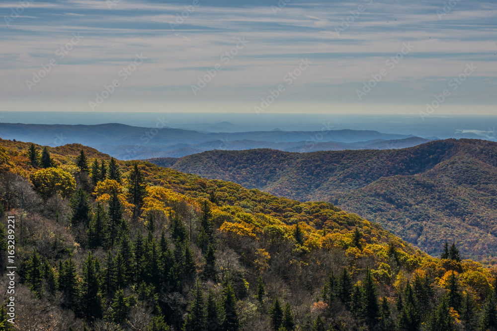mountains in the fall with color trees