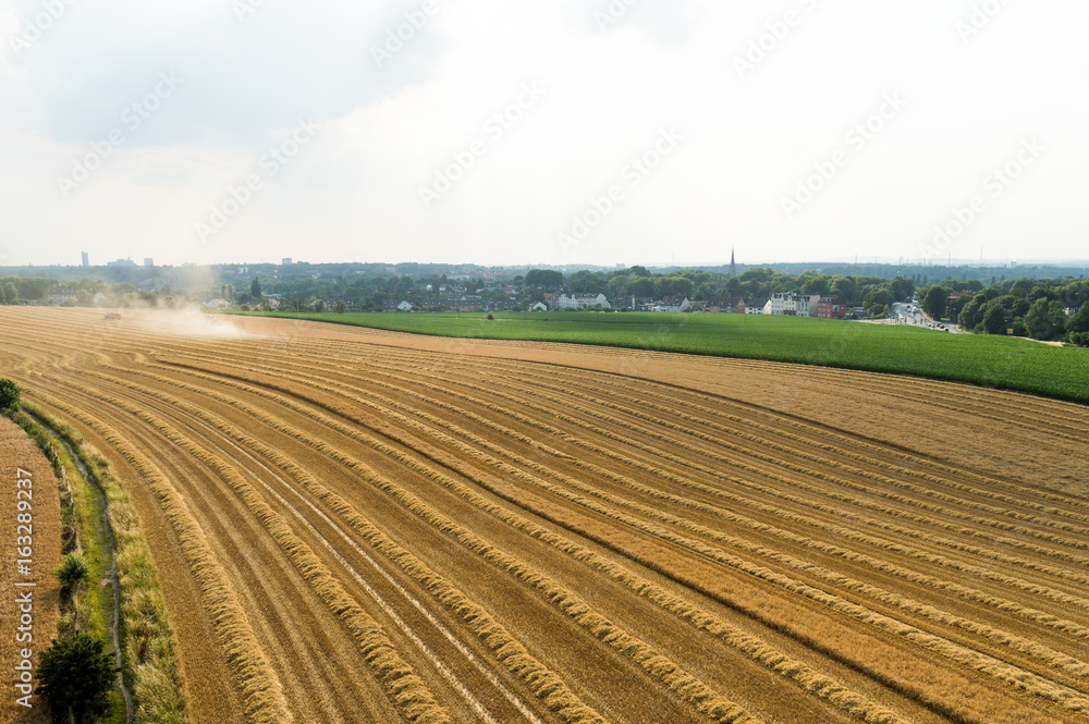 Luftaufnahme Getreideernte mit Mähdrescher im Kornfeld