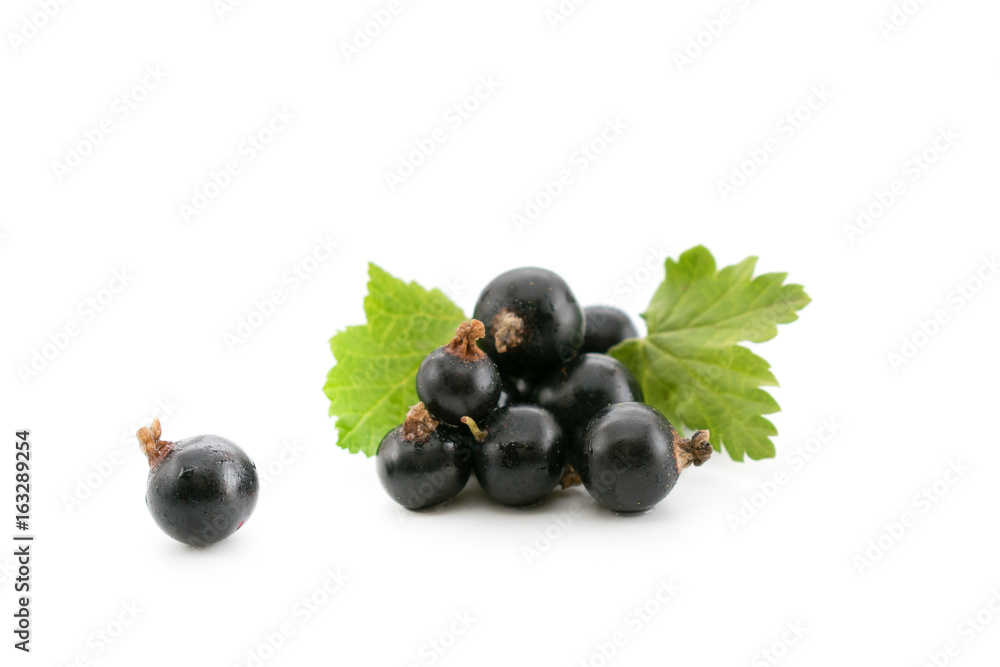 Black currants with leaves on white Black currants with leaves on white