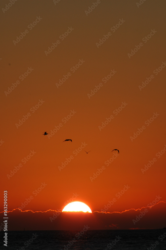 orange skies sunset ove ocean orange skies sunset ove ocean