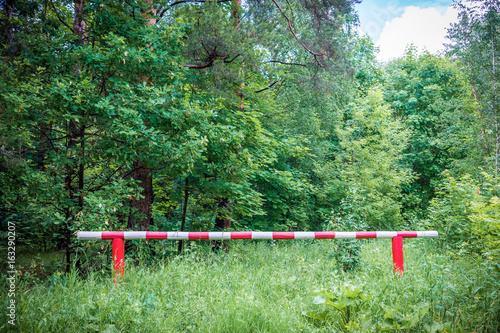 barrier in forest