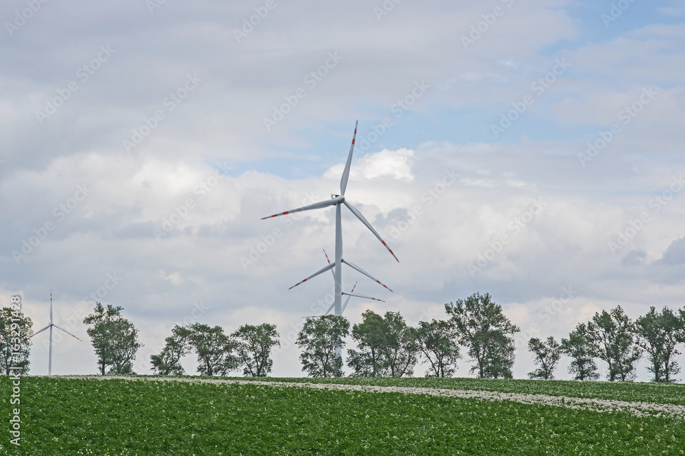 Obraz premium Elektrownie wiatrowe.