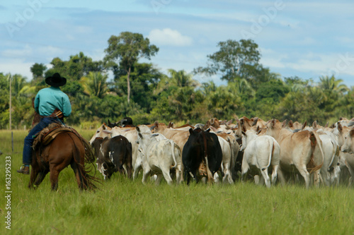 Fazenda Jauquara MT © Cesar Machado