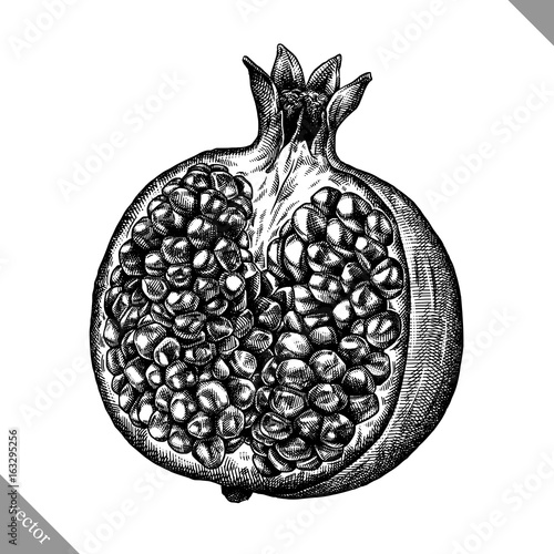 Engrave isolated pomegranate hand drawn graphic vector illustration