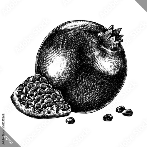 Engrave isolated pomegranate hand drawn graphic vector illustration