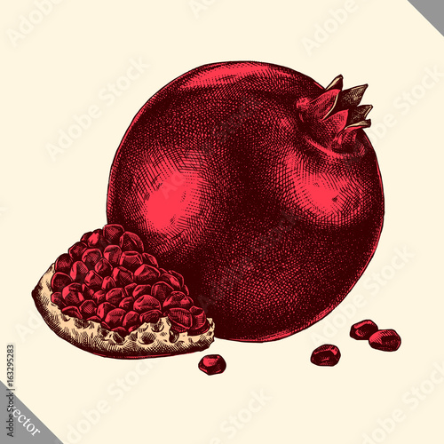 Engrave isolated pomegranate hand drawn graphic vector illustration