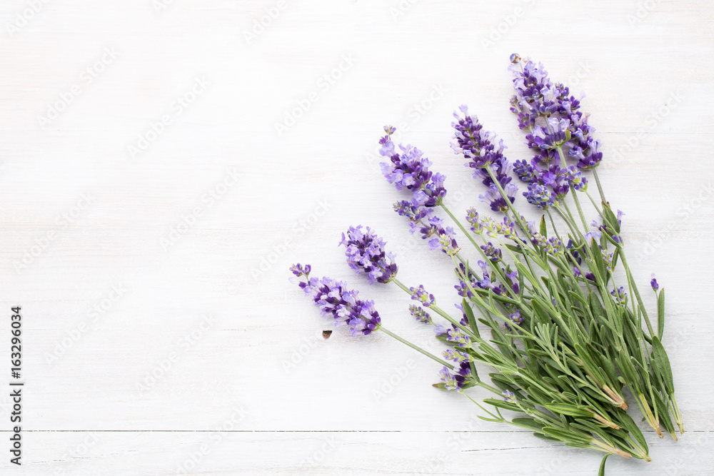 Fototapeta premium Kwiaty lawendy.