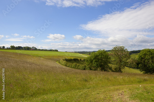 yorkshire wolds scenery