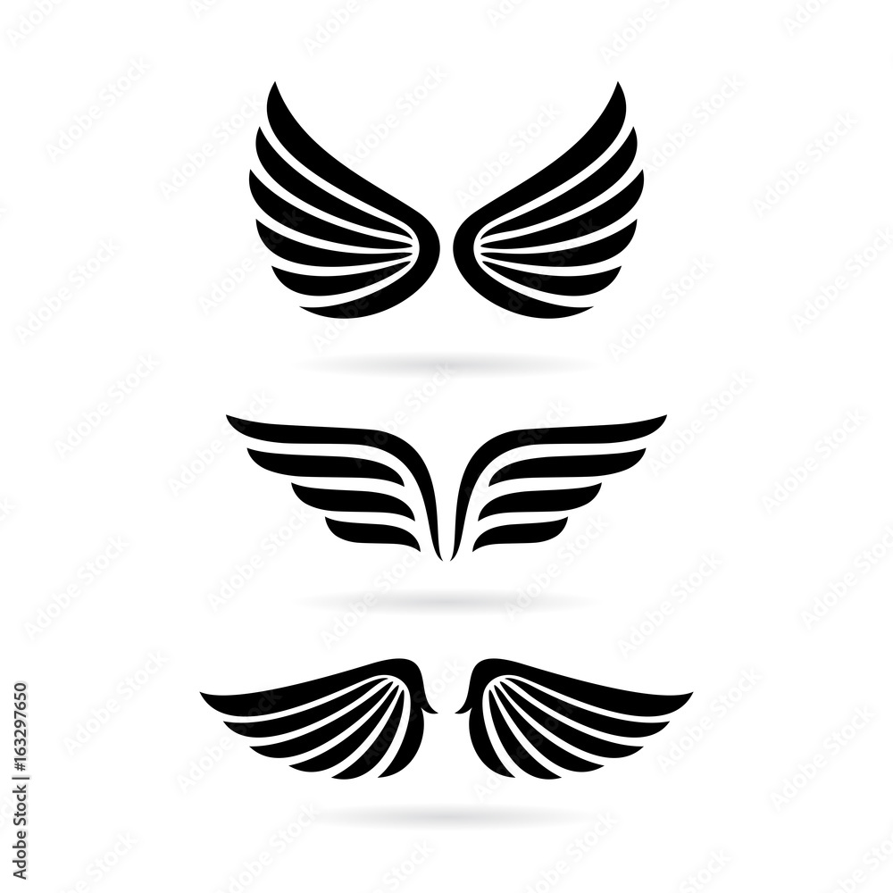 Wings vector icon