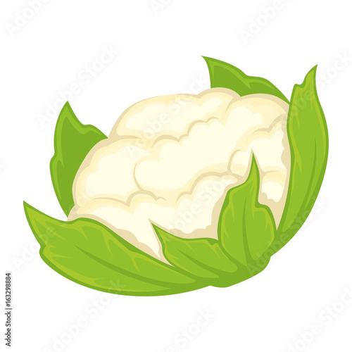 Whole fresh cauliflower