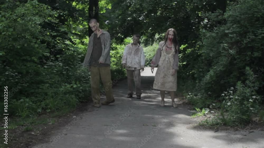 Zombies are walking through an abandoned village. Zombies are walking through an abandoned village.