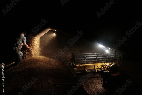 Colheita de soja noturna photo