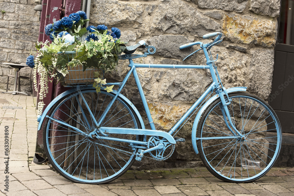 Blue Bicycle