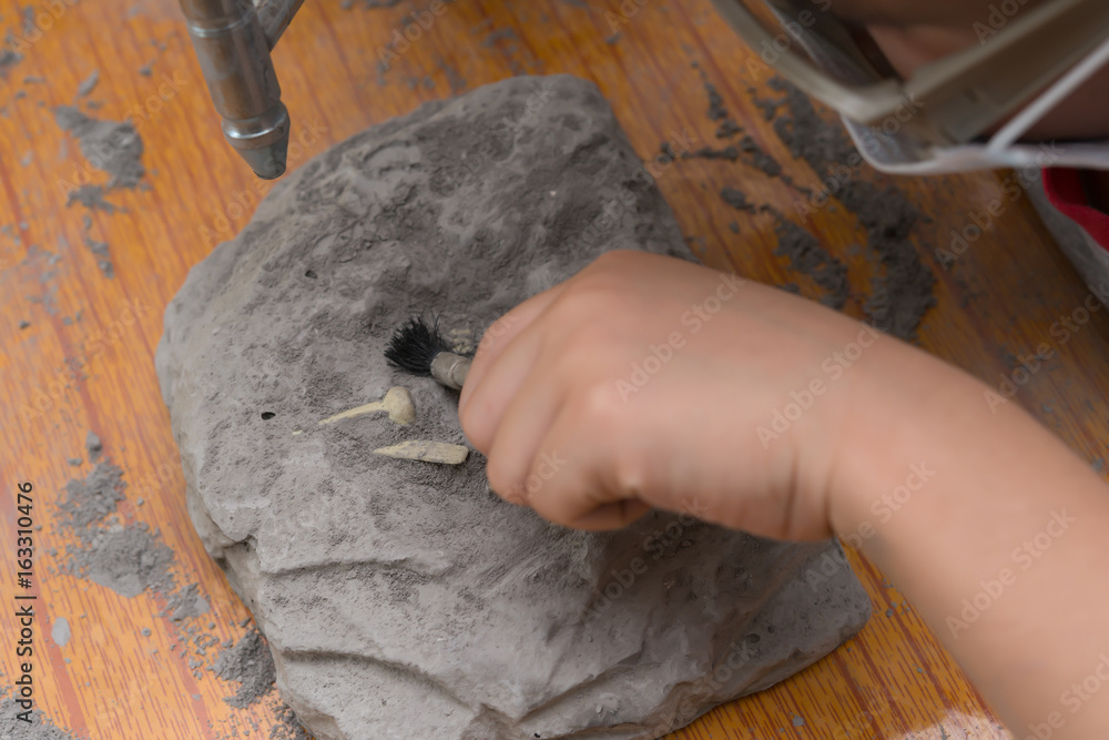 kid excavating Spinosaurus bones from a rock