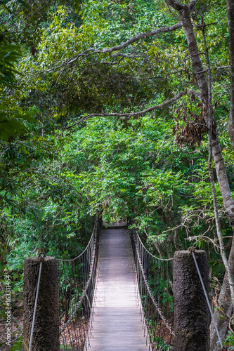 Old suspension bridge to nature in the jungle