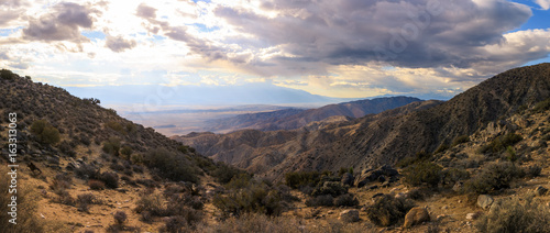 Rolling hills at Joshua Tree National Park