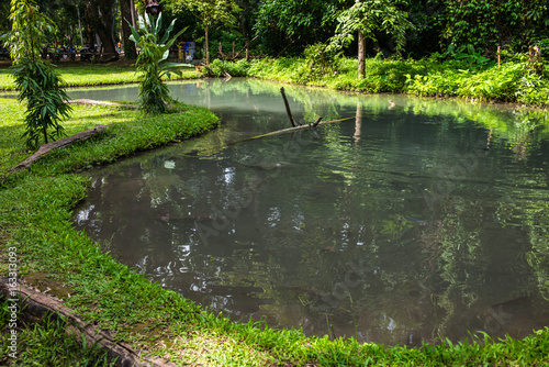 Pond at Buatong water fall and Jedsee fountain forest park photo