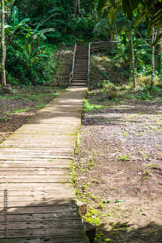 Walk way in Jedsee fountain forest park photo