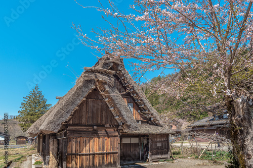 世界遺産白川郷の春景色