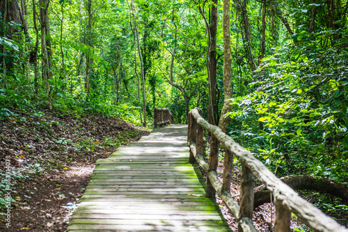 Walk way in Jedsee fountain forest park photo