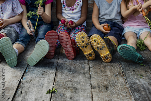Fototapeta Group of kindergarten kids little farmers learning gardening