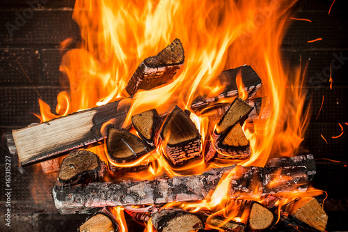 Valokuvatapetti Burning firewood in the fireplace close up