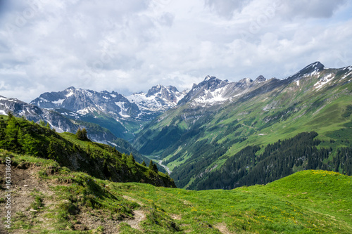 Natur, Tiere, Wandern, Freizeit, Erleben, Abenteuer, Alpen, Schwarzwald © BerndVollmer