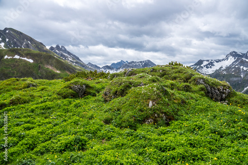 Natur, Tiere, Wandern, Freizeit, Erleben, Abenteuer, Alpen, Schwarzwald