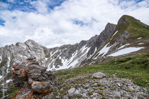 Natur  Tiere  Wandern  Freizeit  Erleben  Abenteuer  Alpen  Schwarzwald