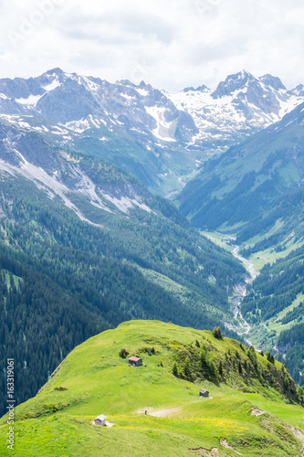 Natur  Tiere  Wandern  Freizeit  Erleben  Abenteuer  Alpen  Schwarzwald