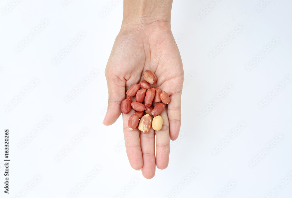 Hand holding peanut isolated on white background. Hand holding peanut isolated on white background.