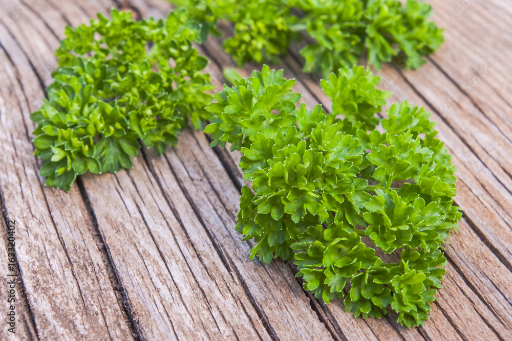 Green curly leaf parsley on stone surface. Green curly leaf parsley on stone surface.