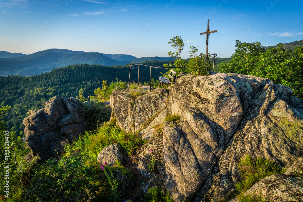 Fototapeta premium Natur, Tiere, Wandern, Freizeit, Erleben, Abenteuer, Alpen, Schwarzwald