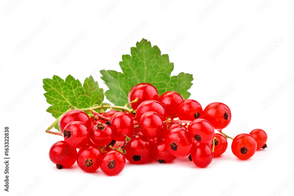 Ripe delicious red currant white background.