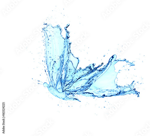 butterfly water splash isolated on white background