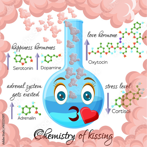 Chemistry of kissing cartoon style infographics, showing hormones that are released during kissing and affect emotional state.