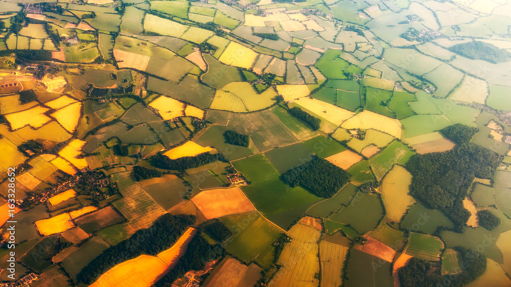 Green fields - aerial view