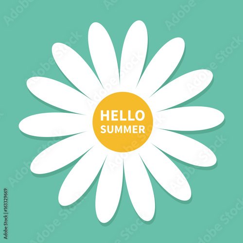 Hello summer. White daisy chamomile. Cute flower plant collection. Love card. Camomile icon Growing concept. Greeting card. Flat design. Green background. Isolated.