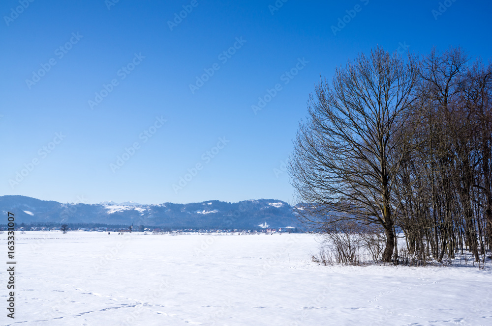 Fields covered with snow