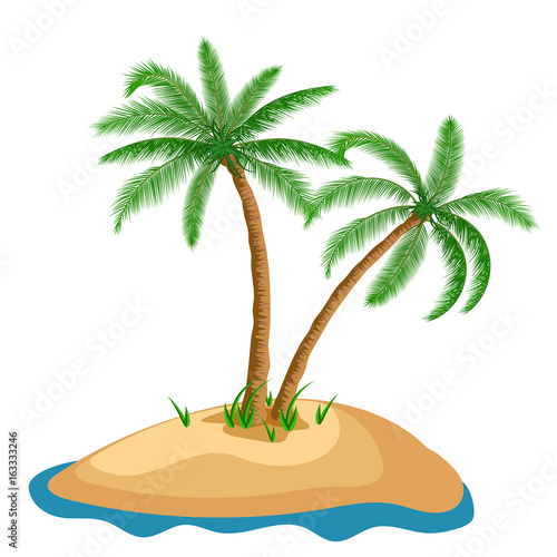 palm tree in island on isolated background