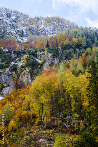 Autumn colors at Jezersko  slovenia