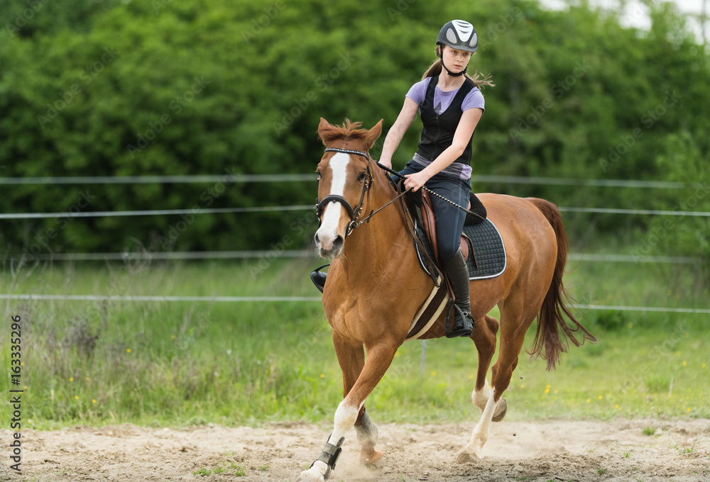 Young pretty girl riding a horse with backlit leaves behind in spring time Young pretty girl riding a horse with backlit leaves behind in spring time