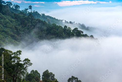 misty morning sunrise in mountain at Phang Nga,Thailand.