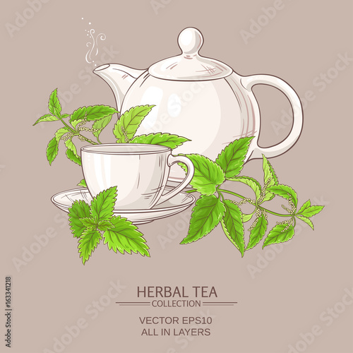 nettle tea illustration