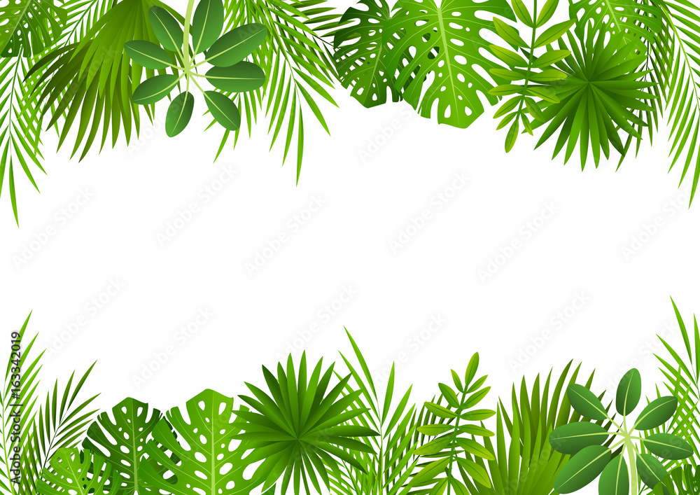 Tropical leaves background for Your design