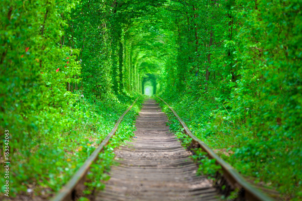 Obraz premium a railway in the spring forest tunnel of love