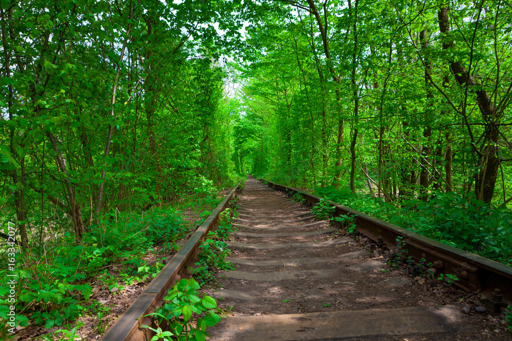 a railway in the spring forest tunnel of love a railway in the spring forest tunnel of love