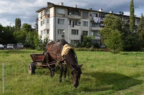 Gypsy horse cart in one of depressed residential areas of Sofia, Bulgarian capitol © Didi Lavchieva