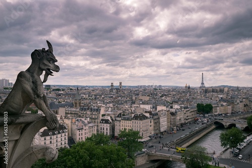 Paris Notre Dame © lucas